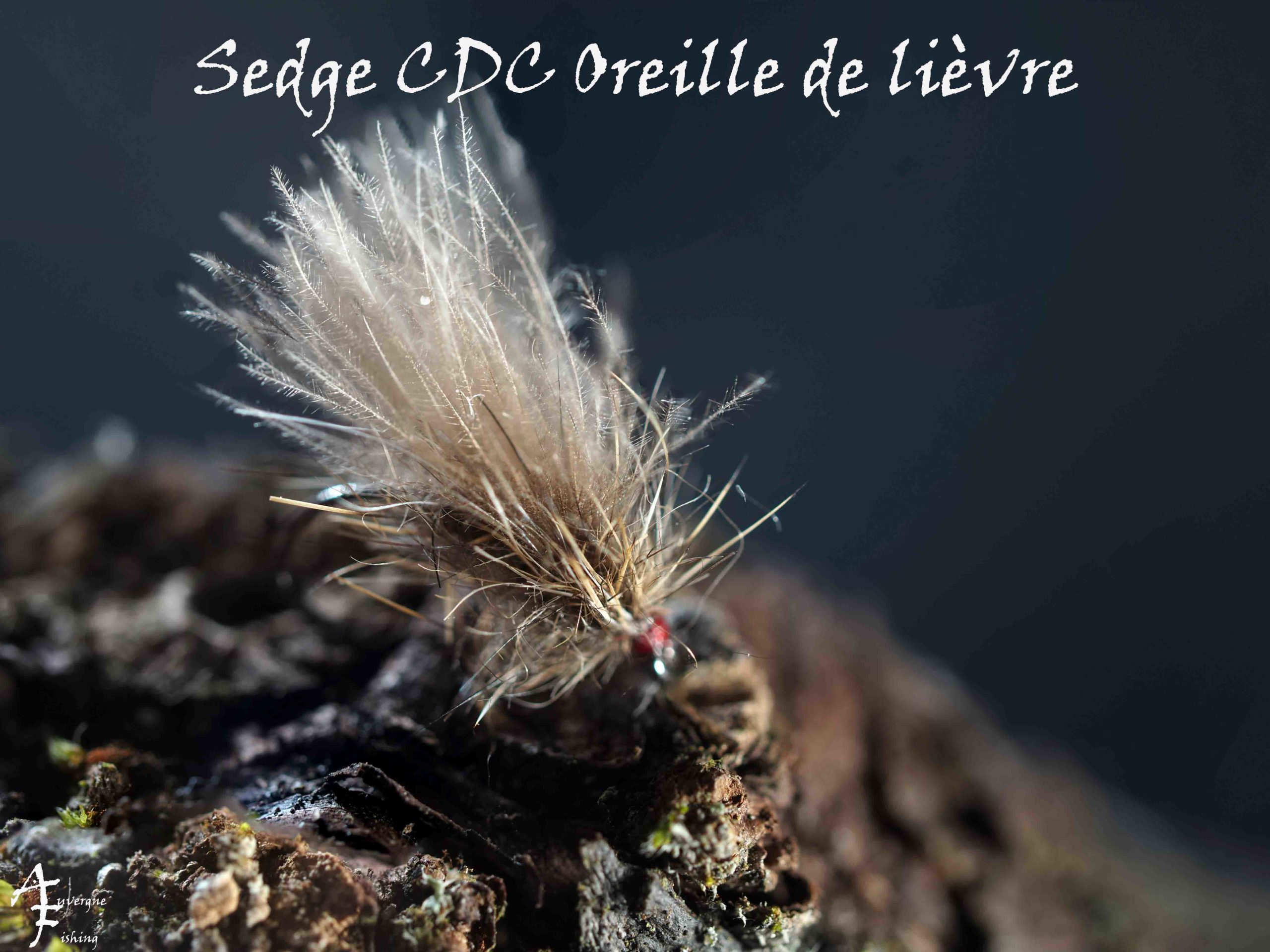 Les mouches sèches et nymphes d'Auvergne